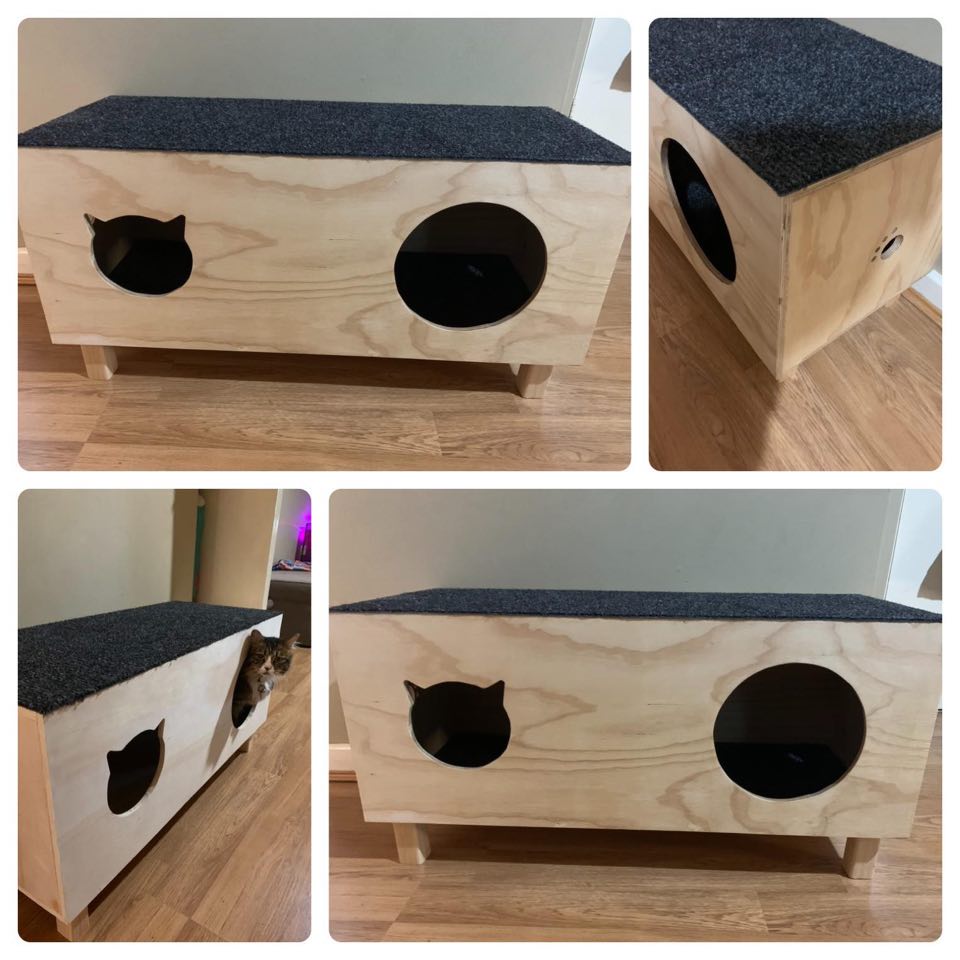 Double Cat Condo Indoor/Outdoor Cat Ledge