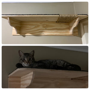Lays-about Cat Shelf Indoor/Outdoor