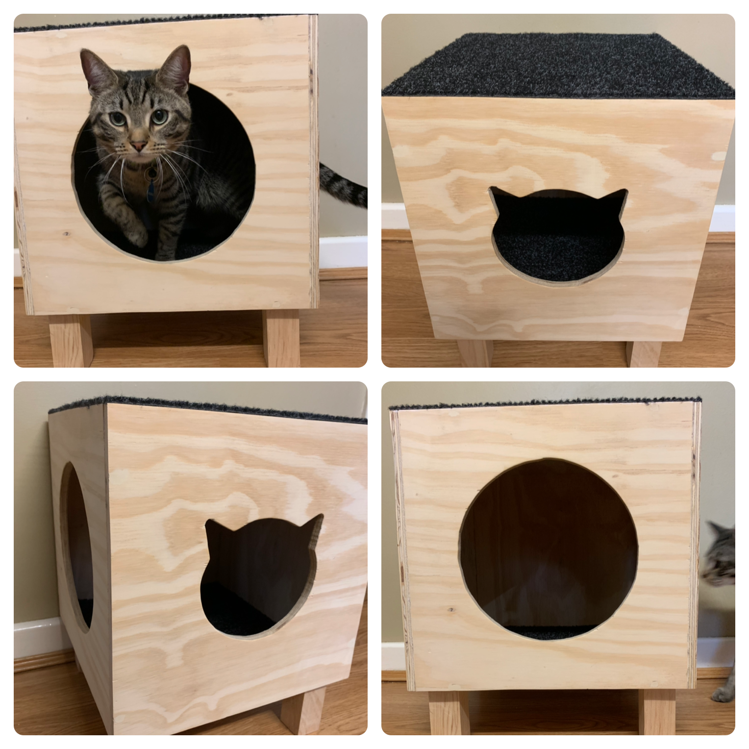 Cat Condo's – Cat Ledge